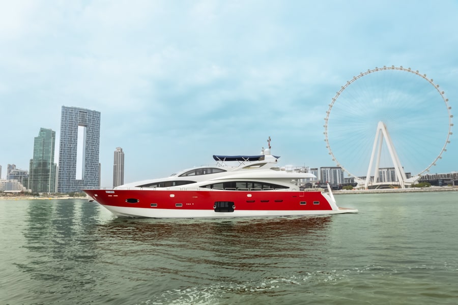 Essential Gender Reveal Cruise